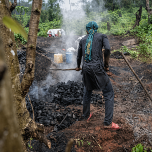 Why Sierra Leone Must Turn Waste Into Fuel to Save Its Forests